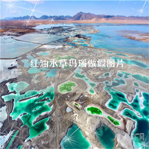 红油水草玛瑙做假图片/2023092146139