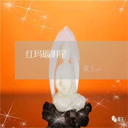 红玛瑙明星/2023101780381