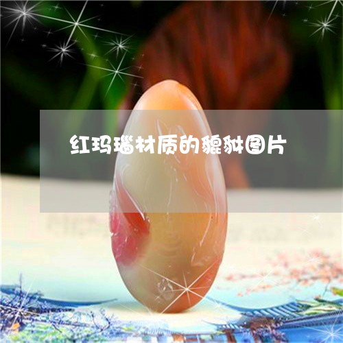 红玛瑙材质的貔貅图片/2023092167049