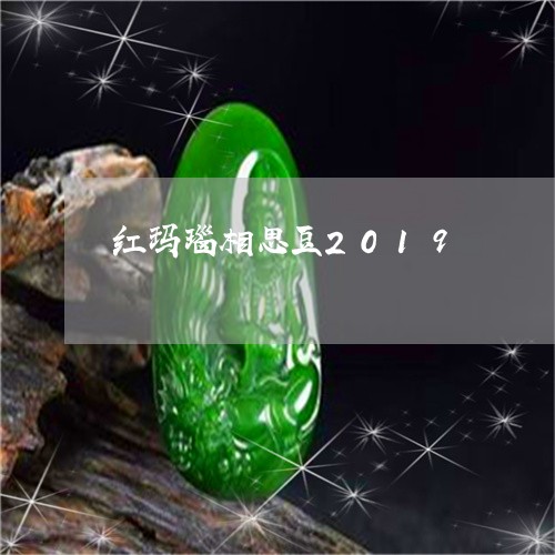 红玛瑙相思豆2019/2023092161917