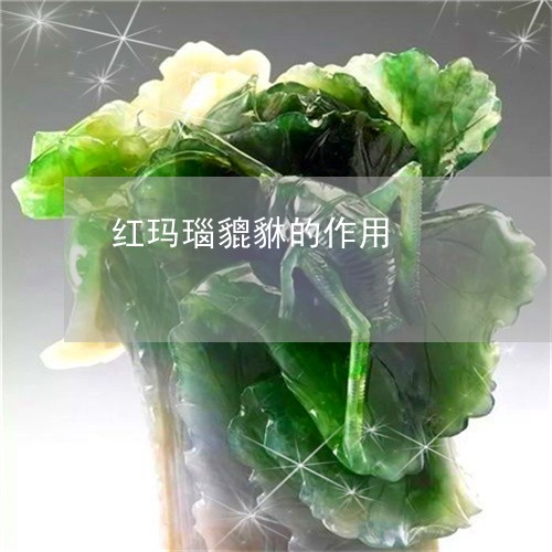 红玛瑙貔貅的作用/2023070976470