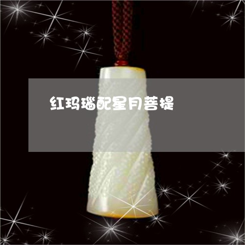 红玛瑙配星月菩提/2023070935150