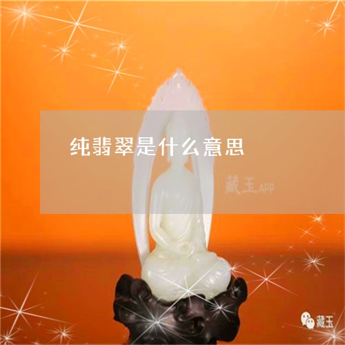 纯翡翠是什么意思/2023070926042