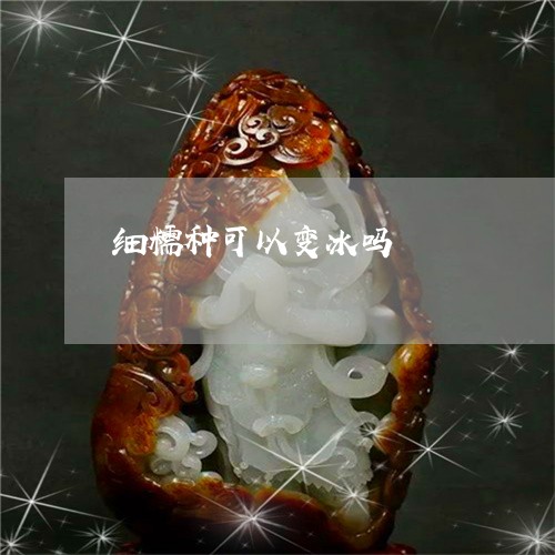 细糯种可以变冰吗/2023070967139