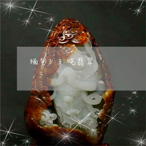 缅甸33吨翡翠/2023061693157