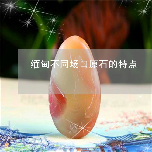 缅甸不同场口原石的特点/2023090766048