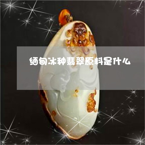 缅甸冰种翡翠原料是什么/2023111604045