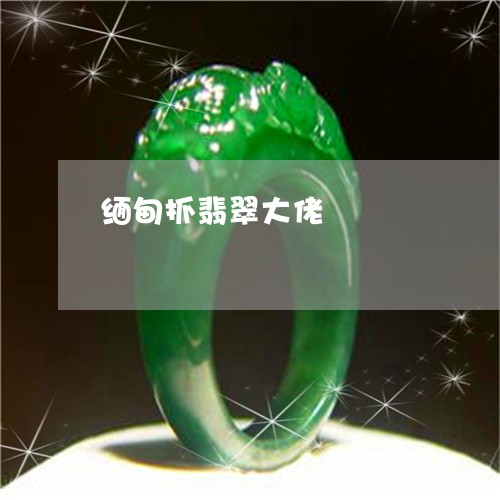 缅甸抓翡翠大佬/2023100617161