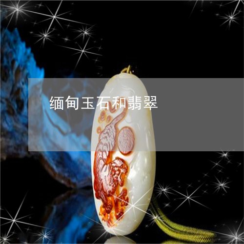 缅甸玉石和翡翠/2023061620503