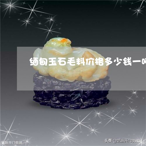 缅甸玉石毛料价格多少钱一吨/2023112441626