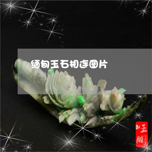 缅甸玉石相连图片/2023071025047