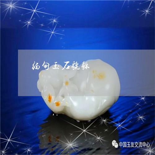 缅甸玉石貔貅/2023100665140