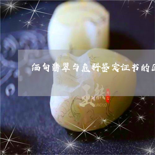 缅甸翡翠与危料鉴定证书的区别/2023112518384