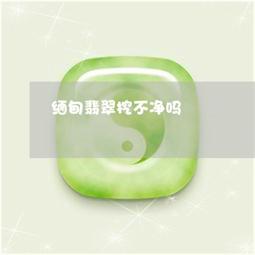 缅甸翡翠挖不净吗/2023032766162