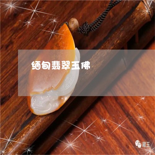 缅甸翡翠玉佛/2023103071504