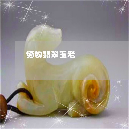 缅甸翡翠玉老/2023060193917