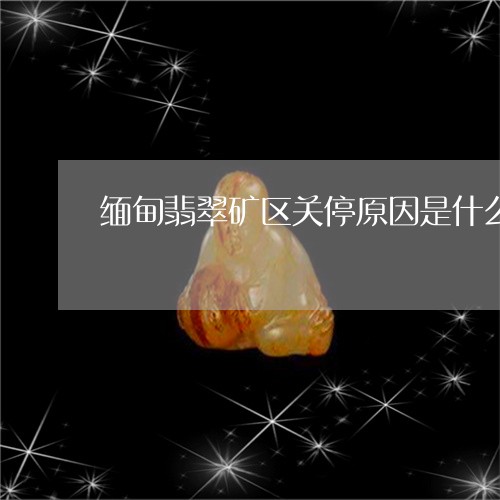 缅甸翡翠矿区关停原因是什么/2023112438592