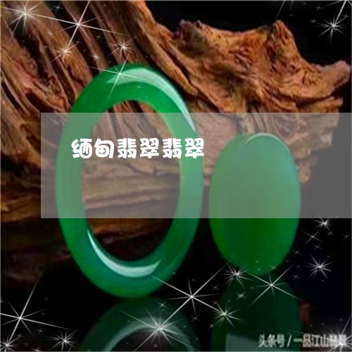 缅甸翡翠翡翠/2023060160513