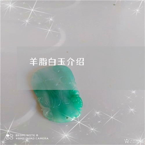 羊脂白玉介绍/2023060195847