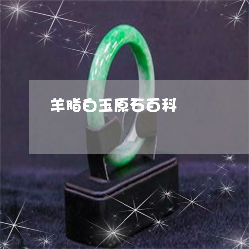 羊脂白玉原石百科/2023070751684