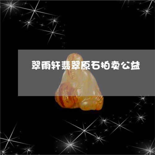 翠雨轩翡翠原石拍卖公益/2023090642614