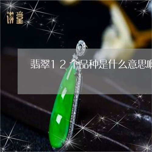 翡翠12个品种是什么意思啊/2023100556590