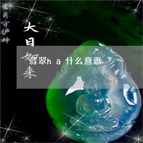 翡翠ha什么意思/2023070841470