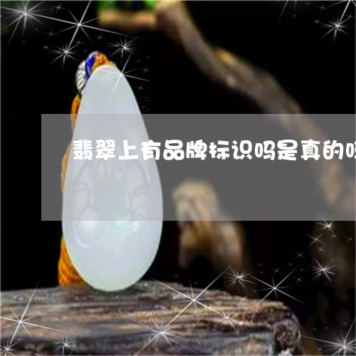 翡翠上有品牌标识吗是真的吗/2023112463703