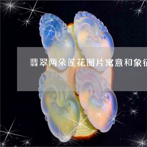 翡翠两朵莲花图片寓意和象征/2023112394071