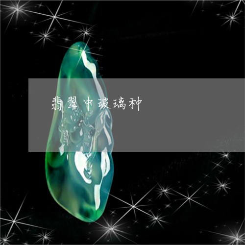 翡翠中玻璃种/2023060155816