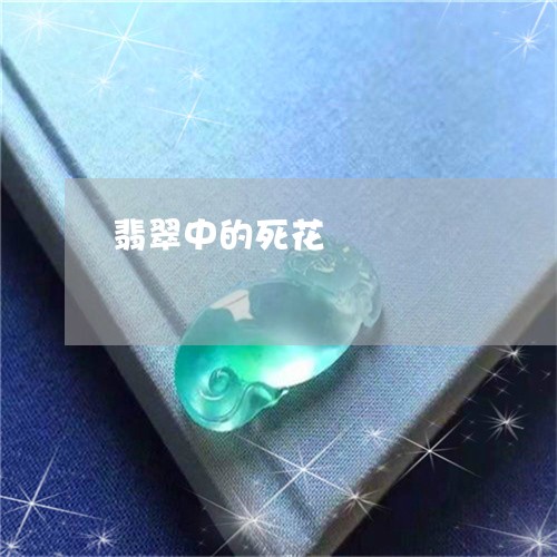 翡翠中的死花/2023060163047