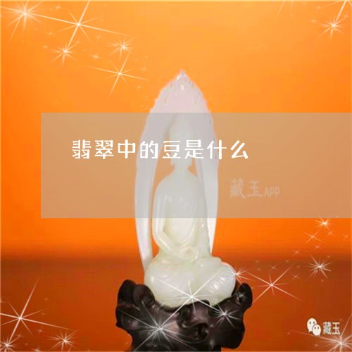 翡翠中的豆是什么/2023070827058