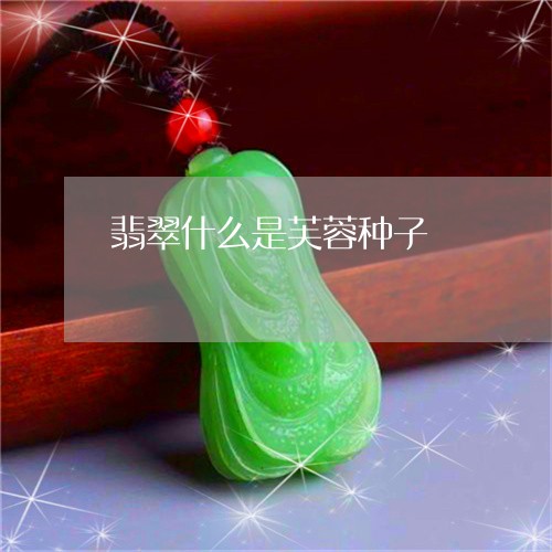 翡翠什么是芙蓉种子/2023100171816