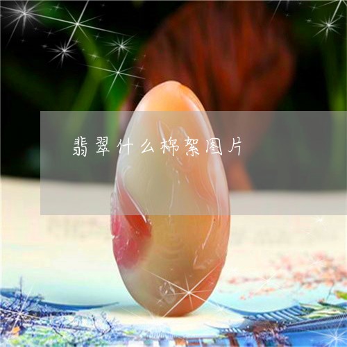 翡翠什么棉絮图片/2023032778491