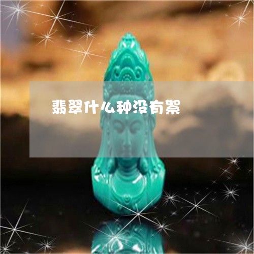 翡翠什么种没有絮/2023052046379