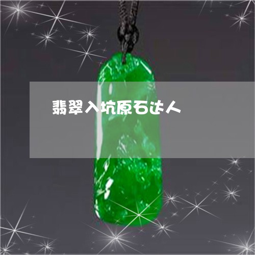 翡翠入坑原石达人/2023070807260