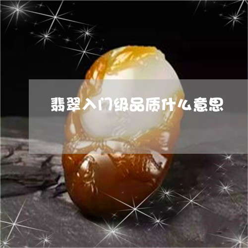 翡翠入门级品质什么意思/2023090575838