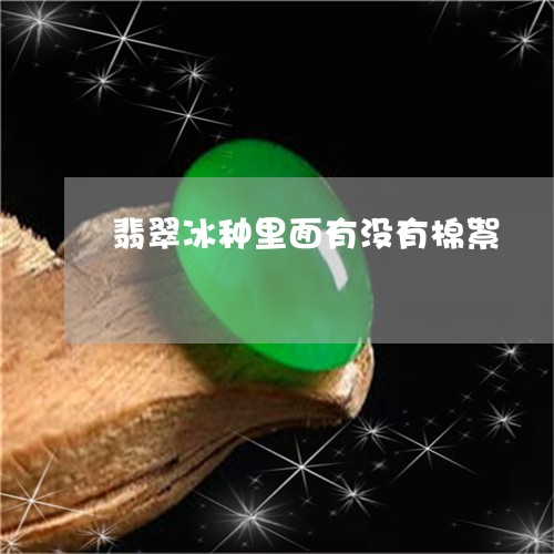 翡翠冰种里面有没有棉絮/2023090531705