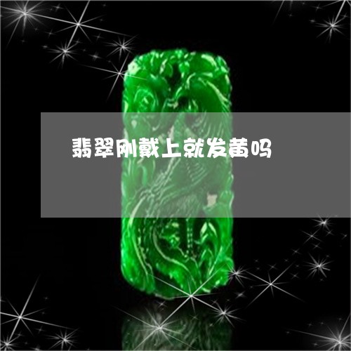 翡翠刚戴上就发黄吗/2023122000573