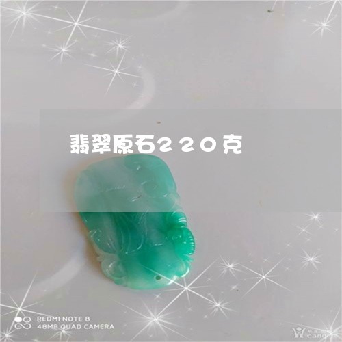 翡翠原石220克/2023093028160