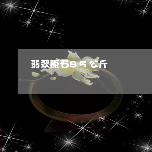 翡翠原石85公斤/2023070829361