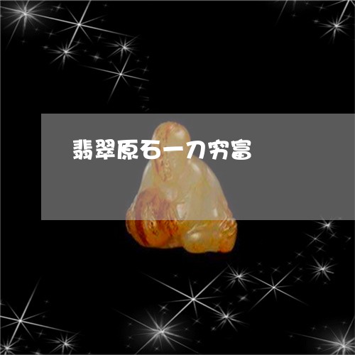 翡翠原石一刀穷富/2023070868251