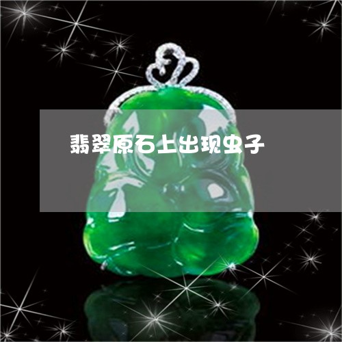 翡翠原石上出现虫子/2023122078381