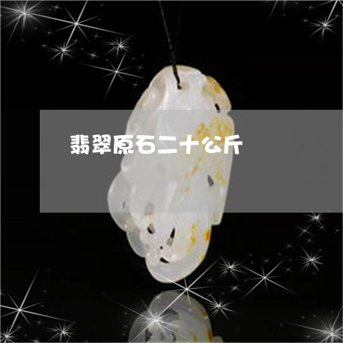 翡翠原石二十公斤/2023070883735