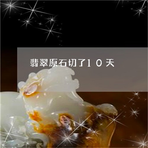 翡翠原石切了10天/2023100705716