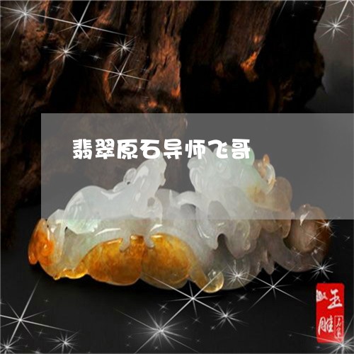 翡翠原石导师飞哥/2023070714138