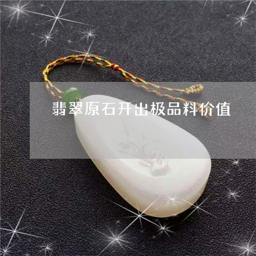 翡翠原石开出极品料价值/2023090569370