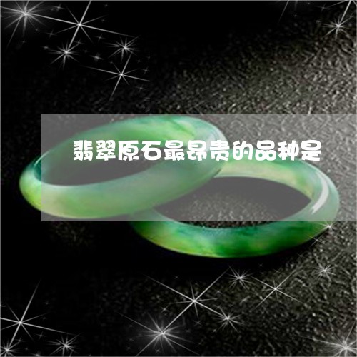 翡翠原石最昂贵的品种是/2023090504925