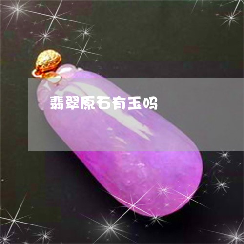 翡翠原石有玉吗/2023061561414