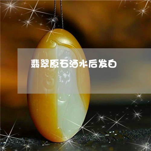 翡翠原石洒水后发白/2023122096161